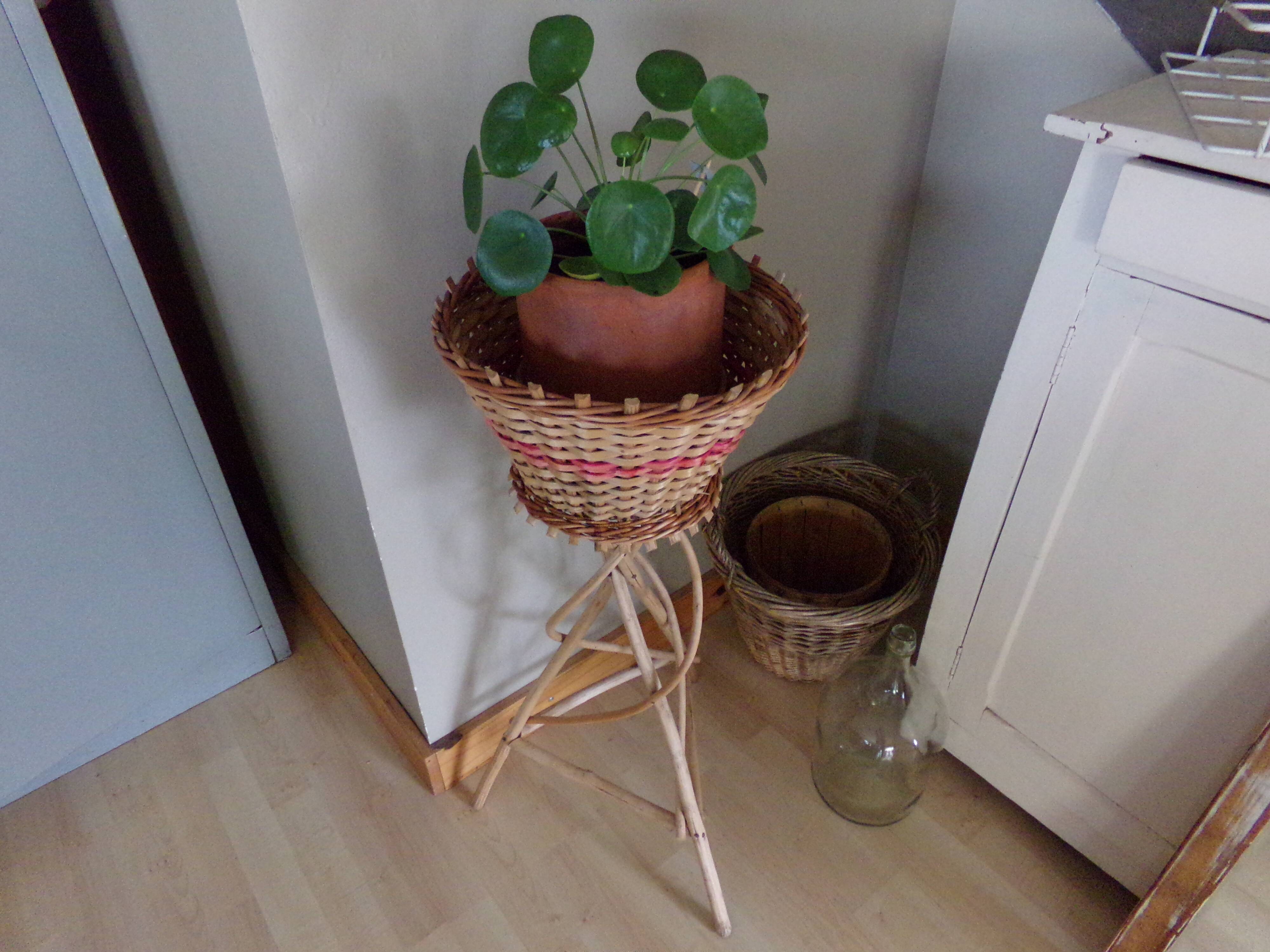 Rattan and wicker plant holders
