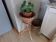 Porte-plantes en rotin et osier