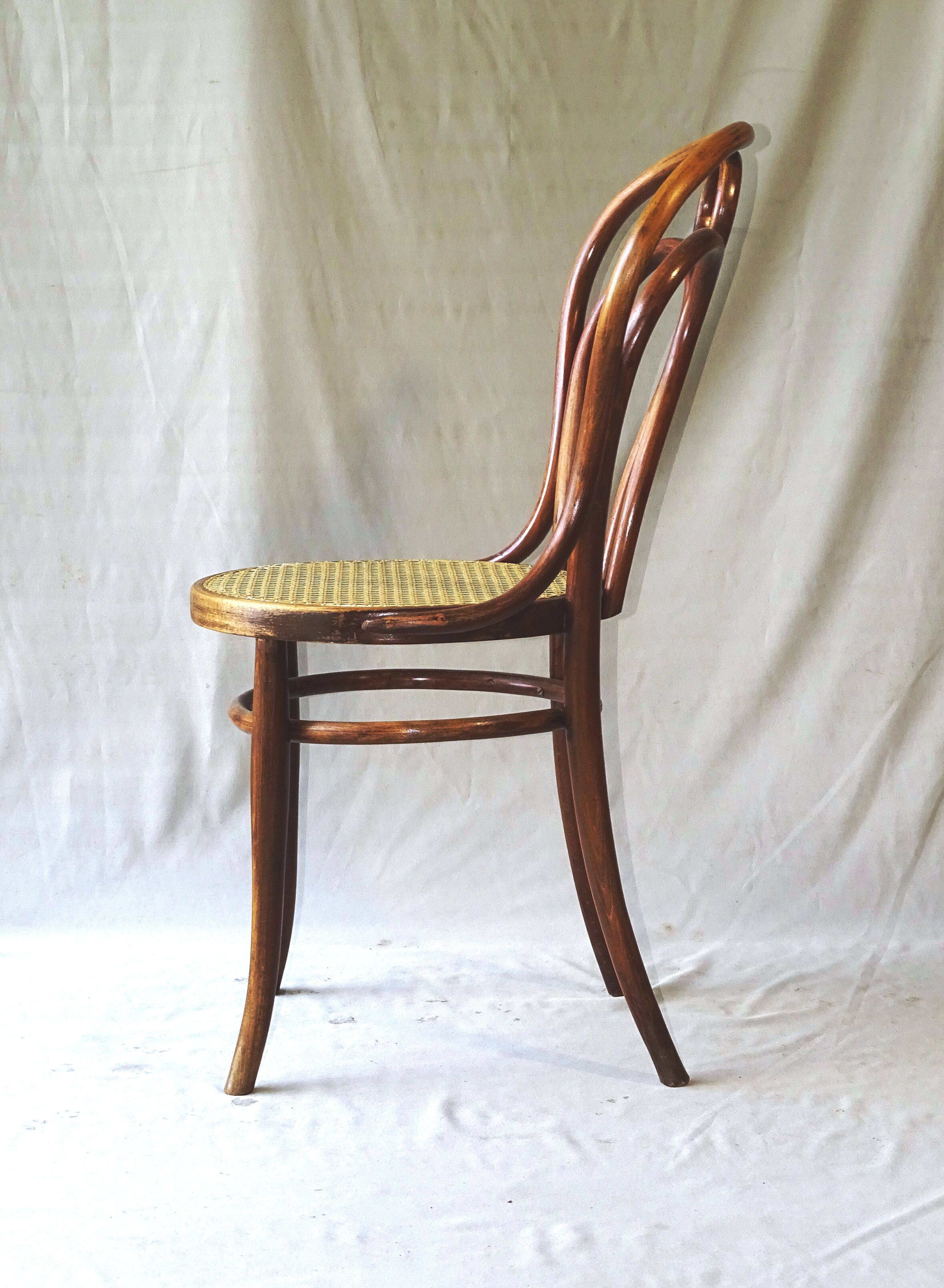 Canned bistro chair Kohn N°36 1890