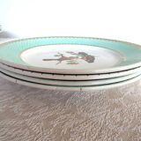 4 flat plates Birds