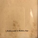 « Platycercus Icterotis » ornithological board  - J&L Gould