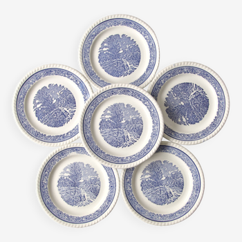 6 vintage country plates