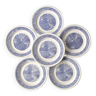 6 vintage country plates