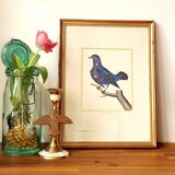 Tableau oiseau