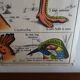 School poster on both sides anatomy batracians and birds . MDI.1964