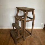 Nineteenth bookcase ladder