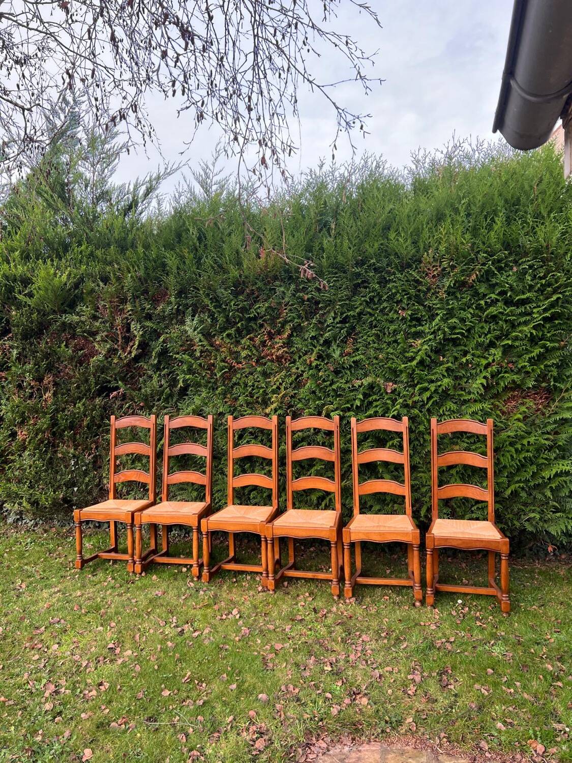 6 oak farmhouse chairs