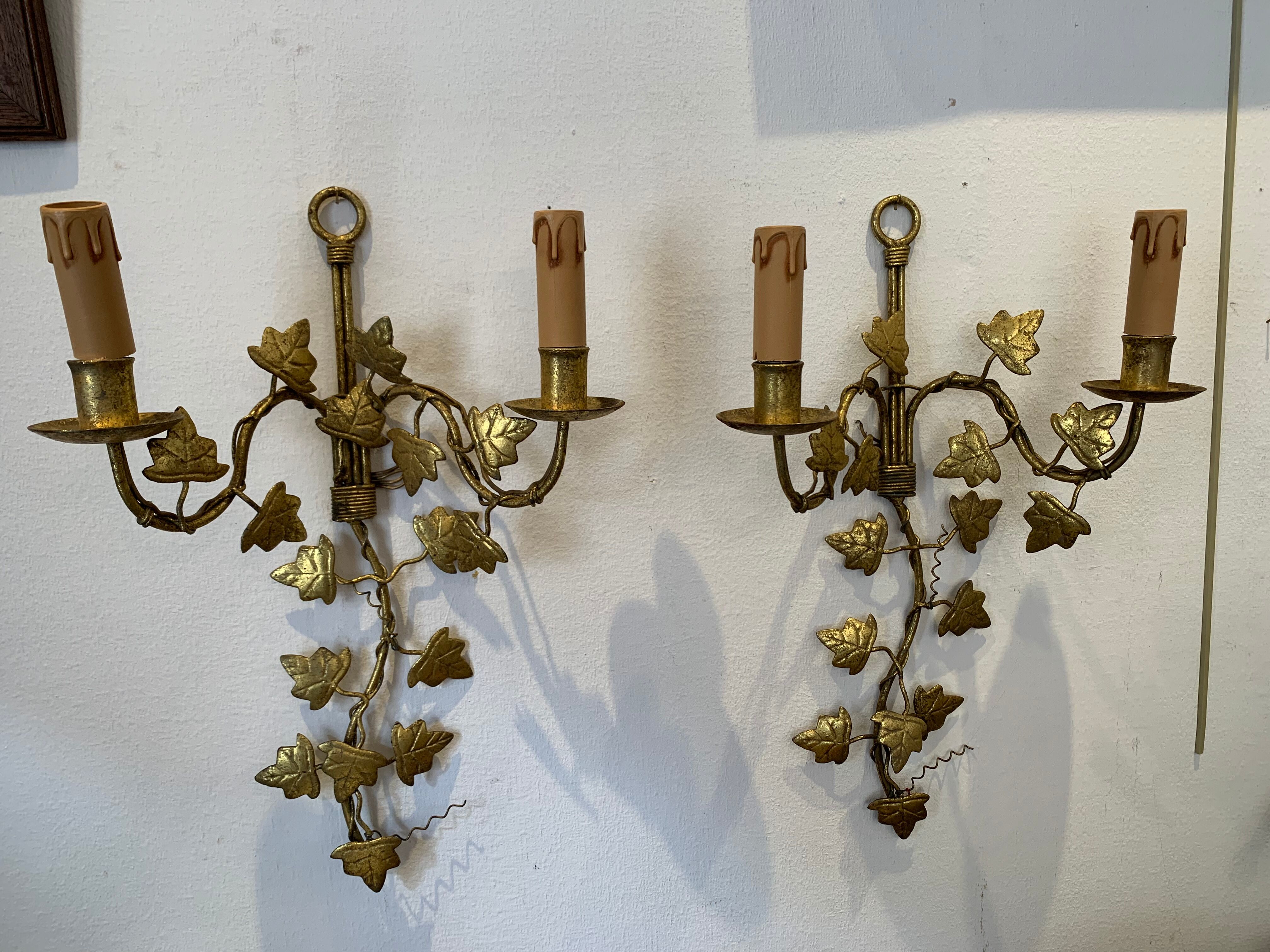 Pair of wall lamps
