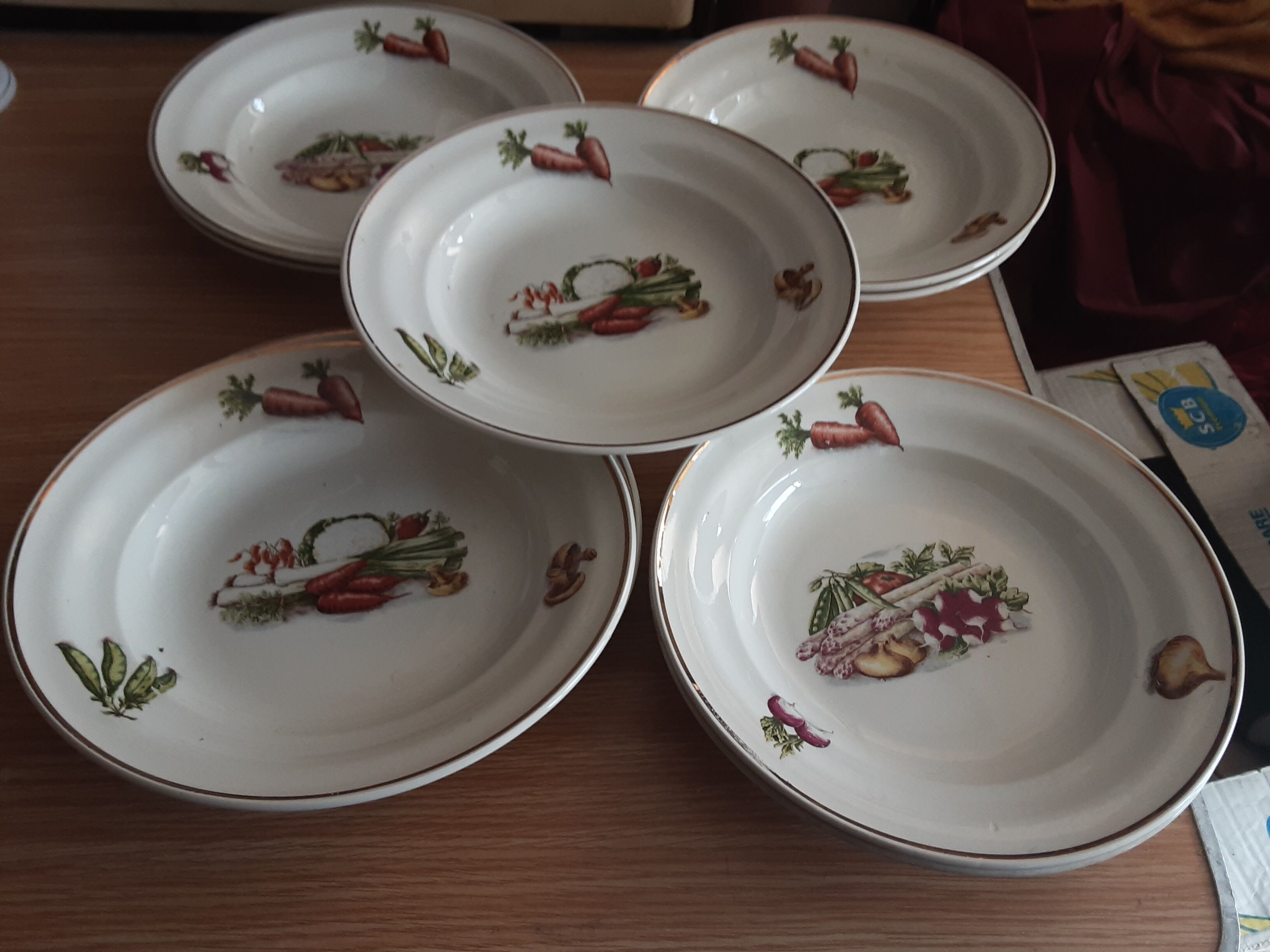 9 hollow plates cerarnord saint amand vegetable model