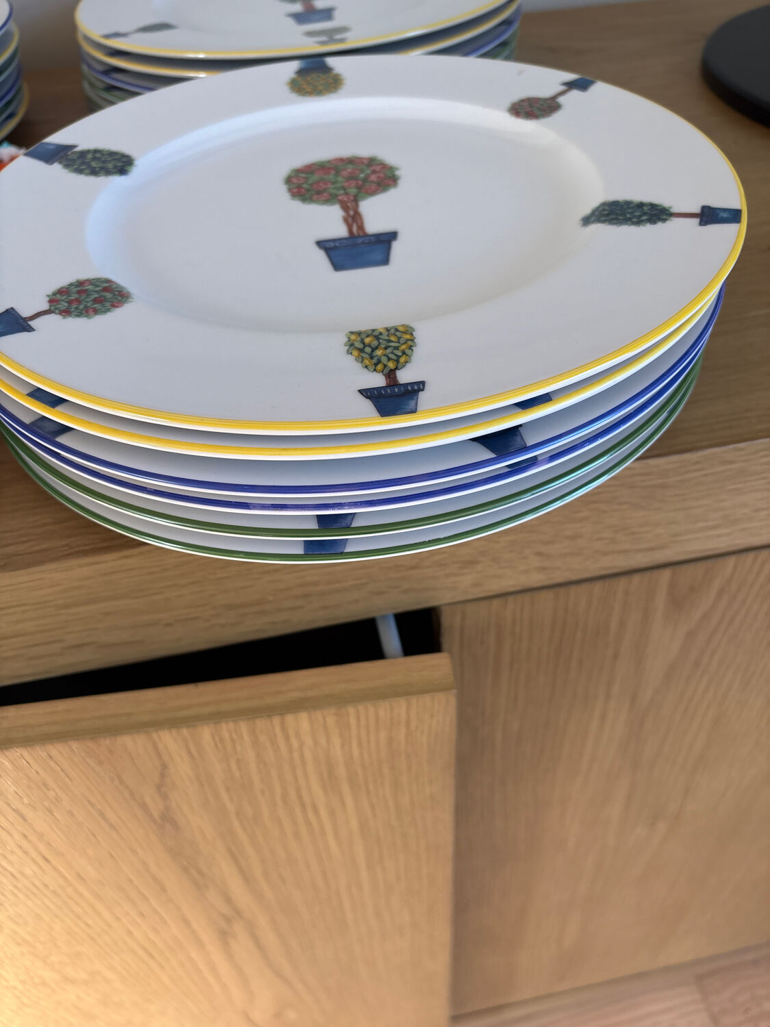 27 cm porcelain dinner plates