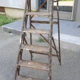 Painter's stepladder in solid beech