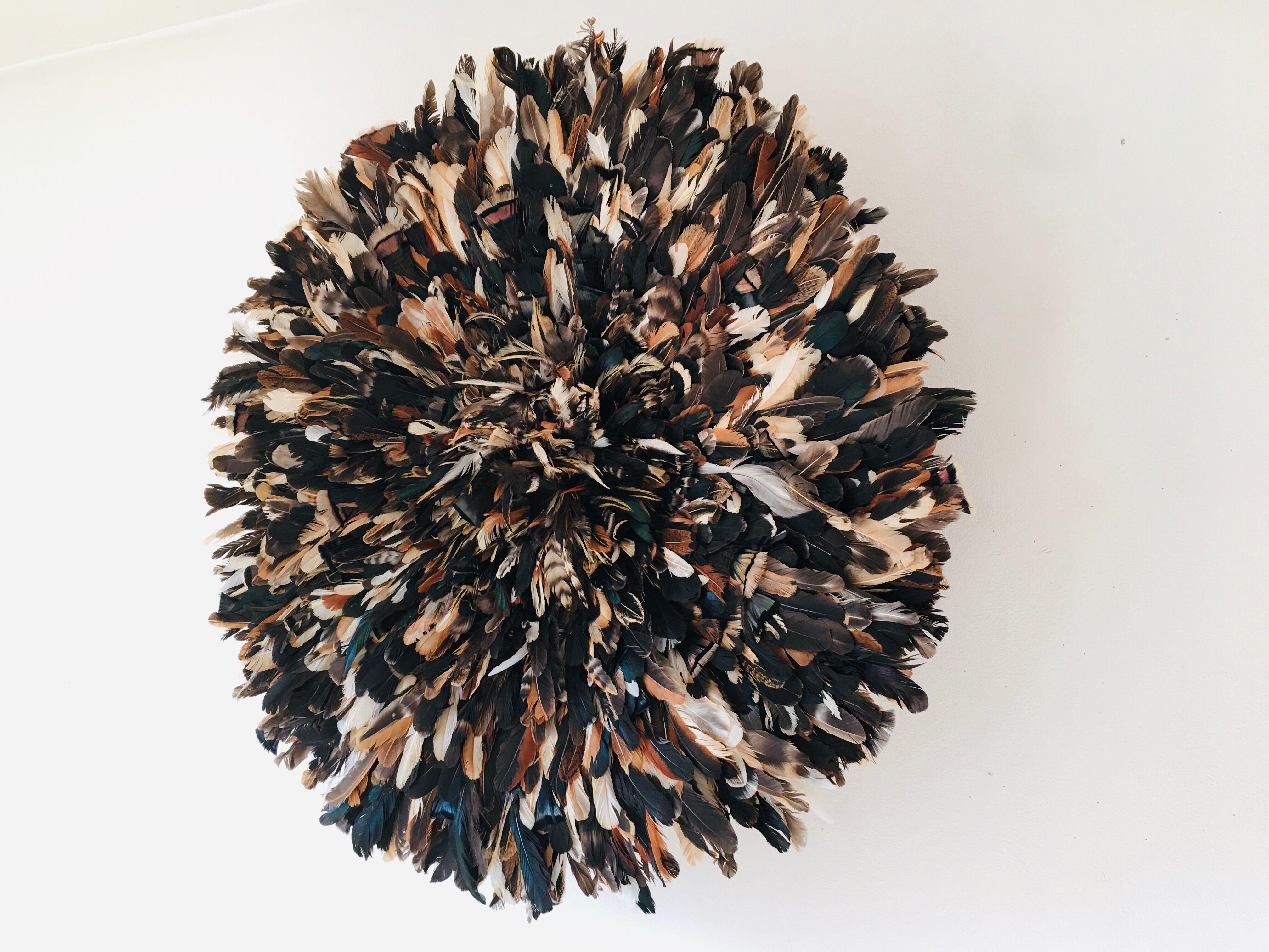 Speckled black jujuhat 80 cm