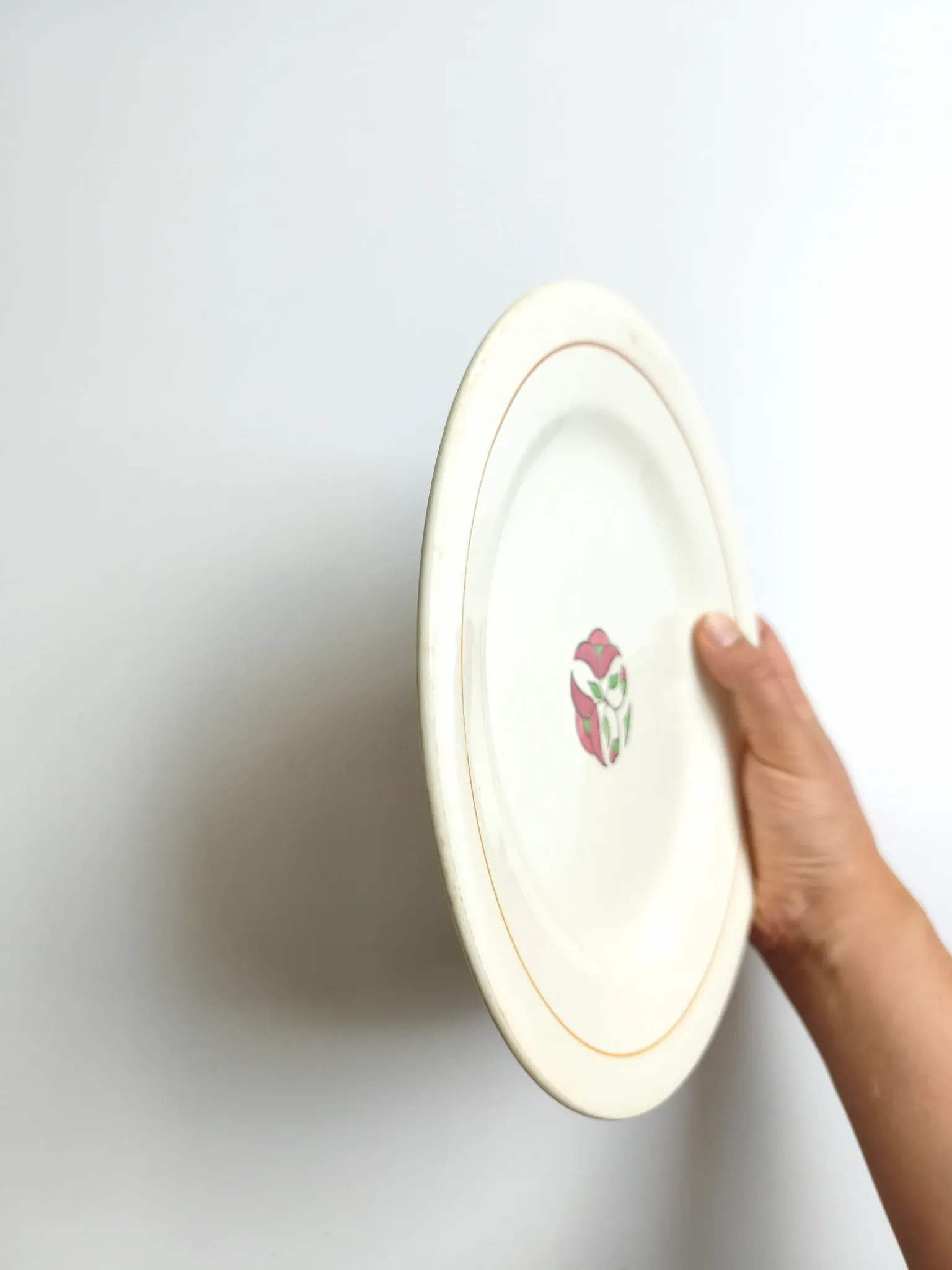 Iron earth plate Salins model without worry old cream flowers