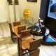 Tulip Design Bentwood Chairs