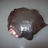 Empty pocket in silver metal