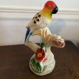 Parrot on its branch