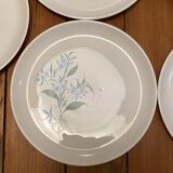 Set of 5 flat plates Sovirel