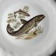 Fish plates in Limoges porcelain – Vintage service for 6