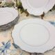 6 Seltmann Weiden Bavaria dinner plates Theresia model