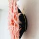 Pink Jujuhat 50 cm