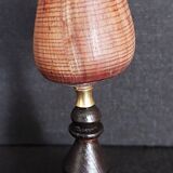 Cabinet of Curiosities conus figulinus shell on base