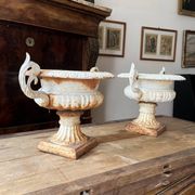 White Médicis vases