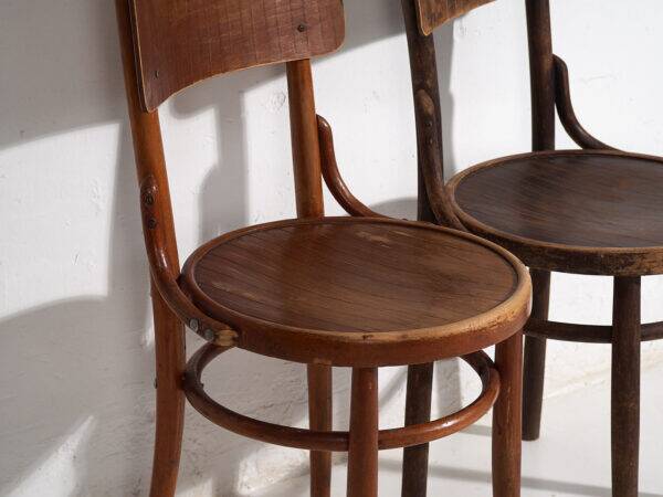 Antique bentwood dining chairs (circa 1920). Set of 4