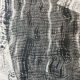 Pablo Picasso Jacqueline with cheesecloth phototype Villers 1962