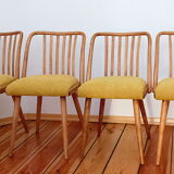 Set of chairs designed by A. Suman, Czechoslovakia, the 60s