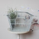 Bird cage, aviary