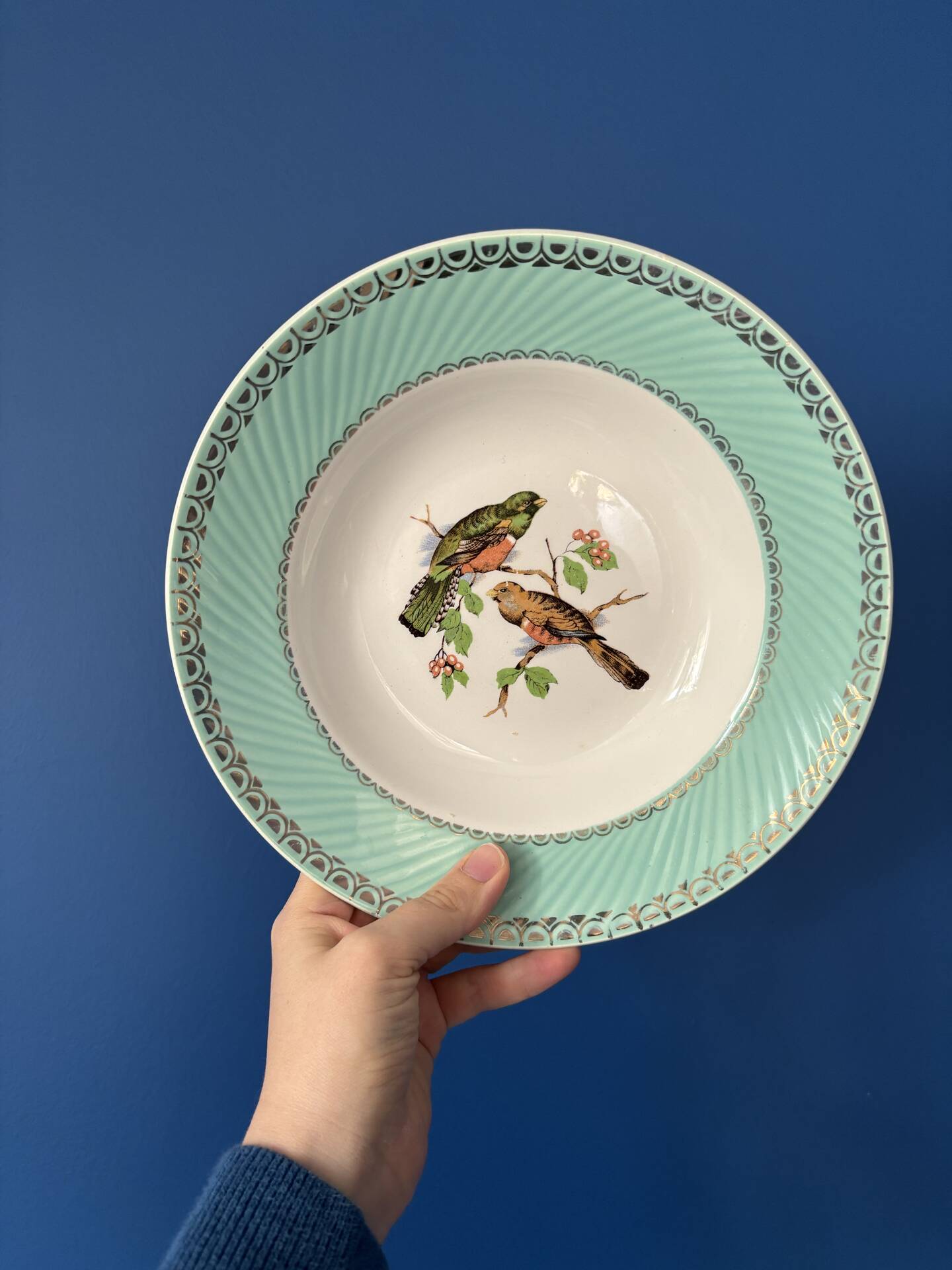 Set of 4 vintage deep plates in earthenware • Bird and leaf decoration