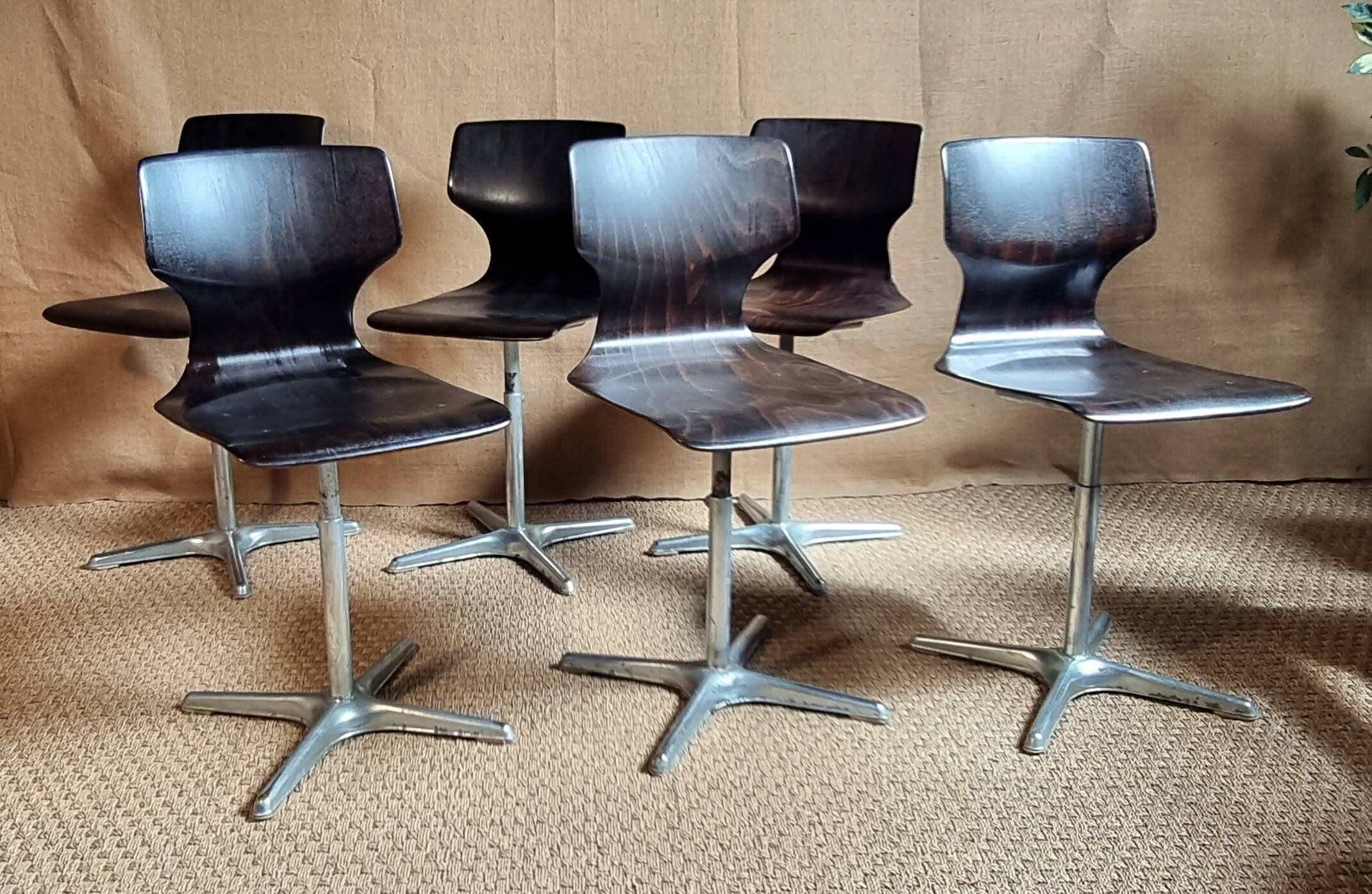6 Pagwood Pagholz Flototo chairs from the 70s