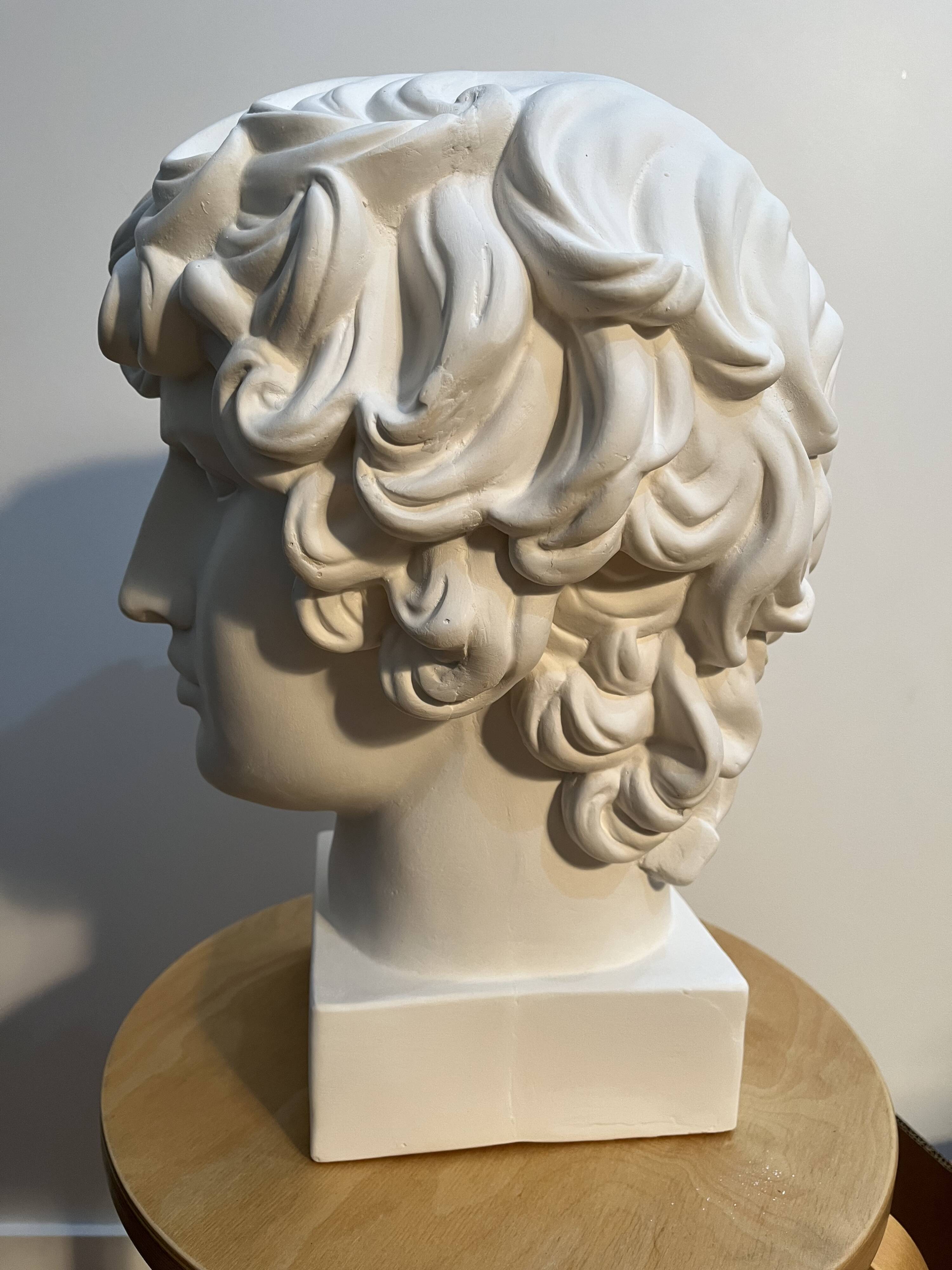 Buste en plâtre d'Antinous - Réplique de l'Antinous de Farnèse