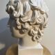 Buste en plâtre d'Antinous - Réplique de l'Antinous de Farnèse