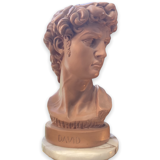 Bust David in plaster