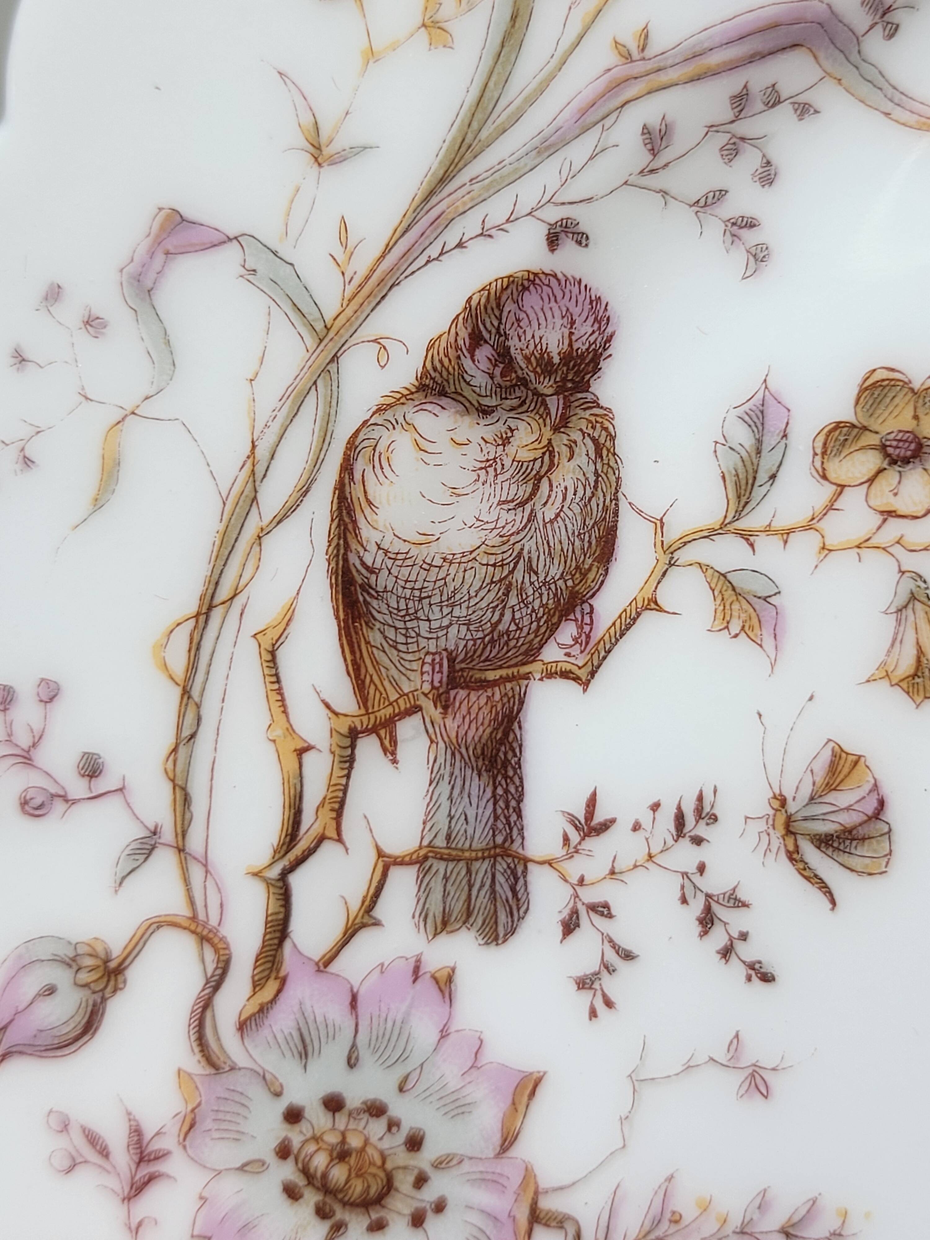 8 Superb Antique 19th Century Plates Decorated with Birds on Branches