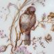 8 Superb Antique 19th Century Plates Decorated with Birds on Branches