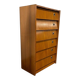 Vintage wooden shoe cabinet / cabinet with drop-down door and chrome accents.