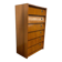 Vintage wooden shoe cabinet / cabinet with drop-down door and chrome accents.