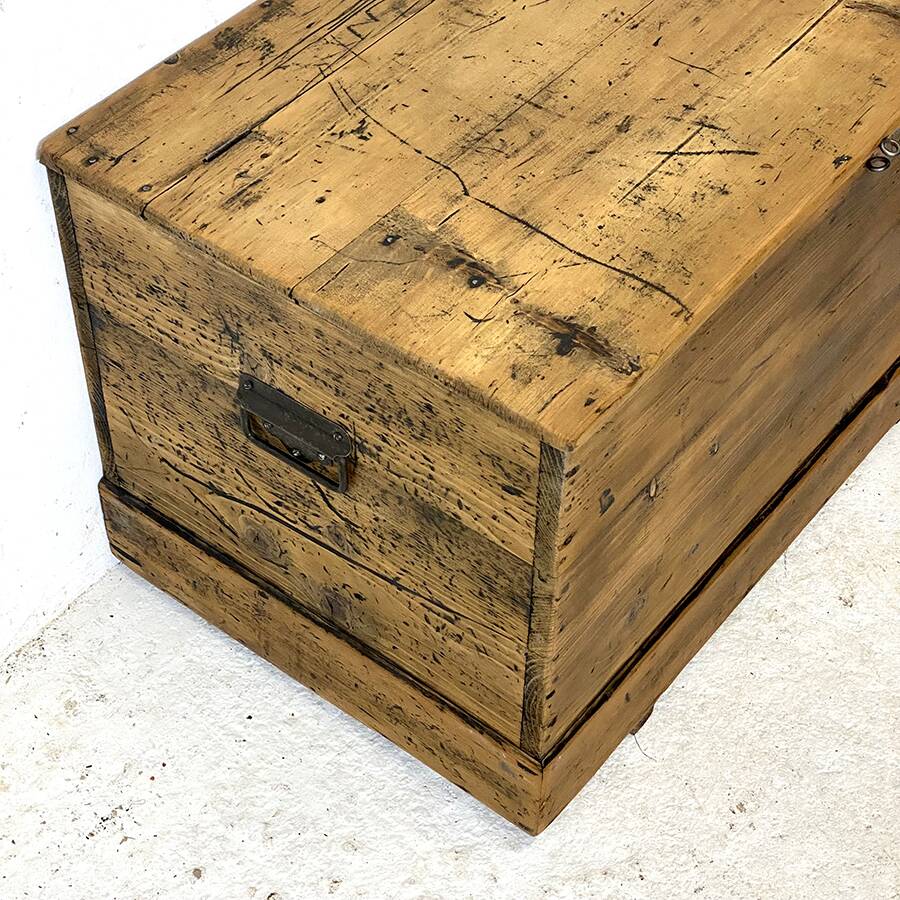 Old trunk