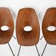6 "Medea" chairs by Vittorio Nobili for Frattelli Tagliabue, 1950s
