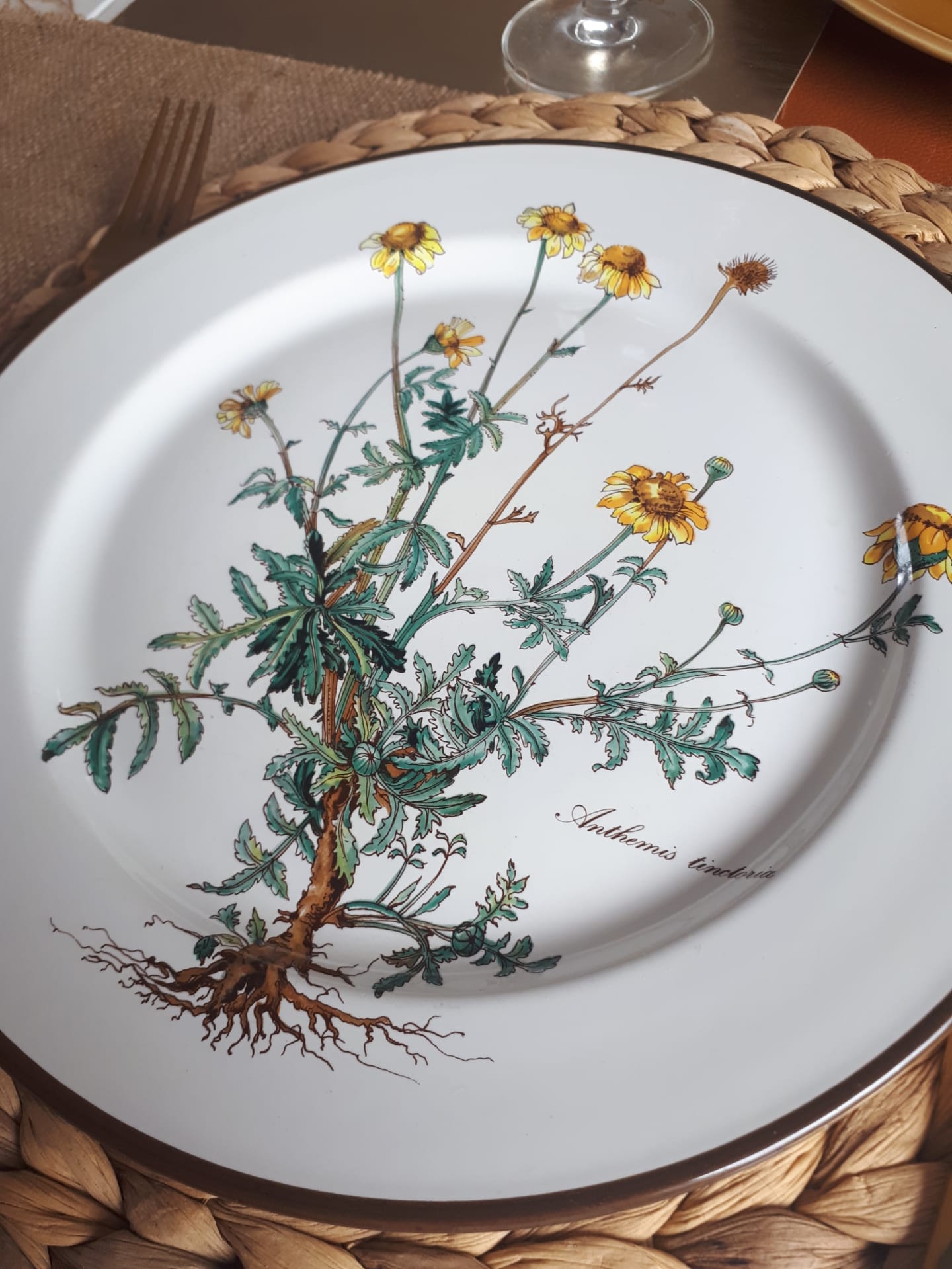 Lot of 4 flat plates "Anthemis" from the service "Botanica" of Boch