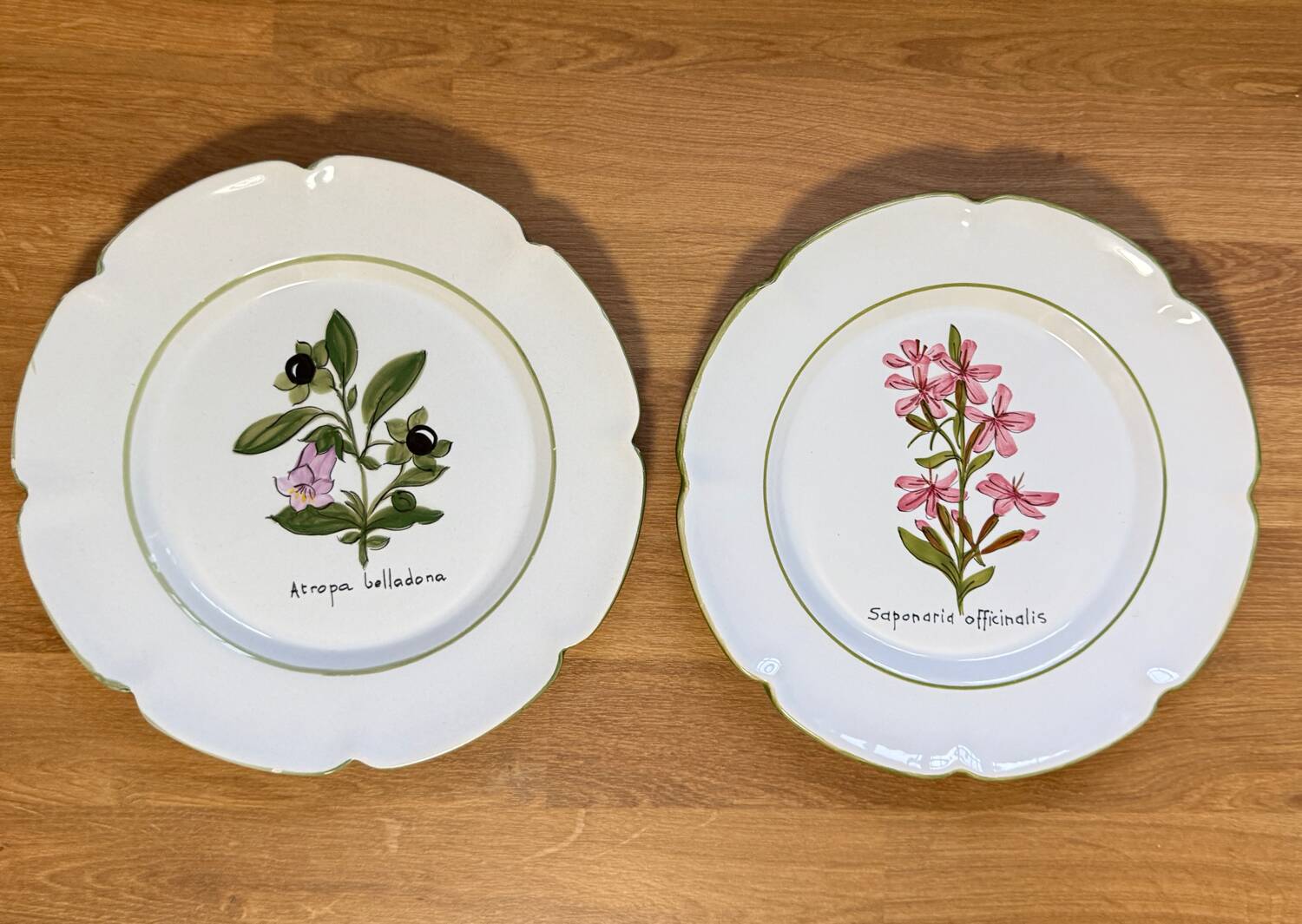Pair of vintage Charolles plates hand-painted – Botanical decor