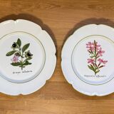 Pair of vintage Charolles plates hand-painted – Botanical decor