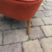 Set of 2 purple cocktail chairs in solid beech, Mid-Century style from the 1960s.