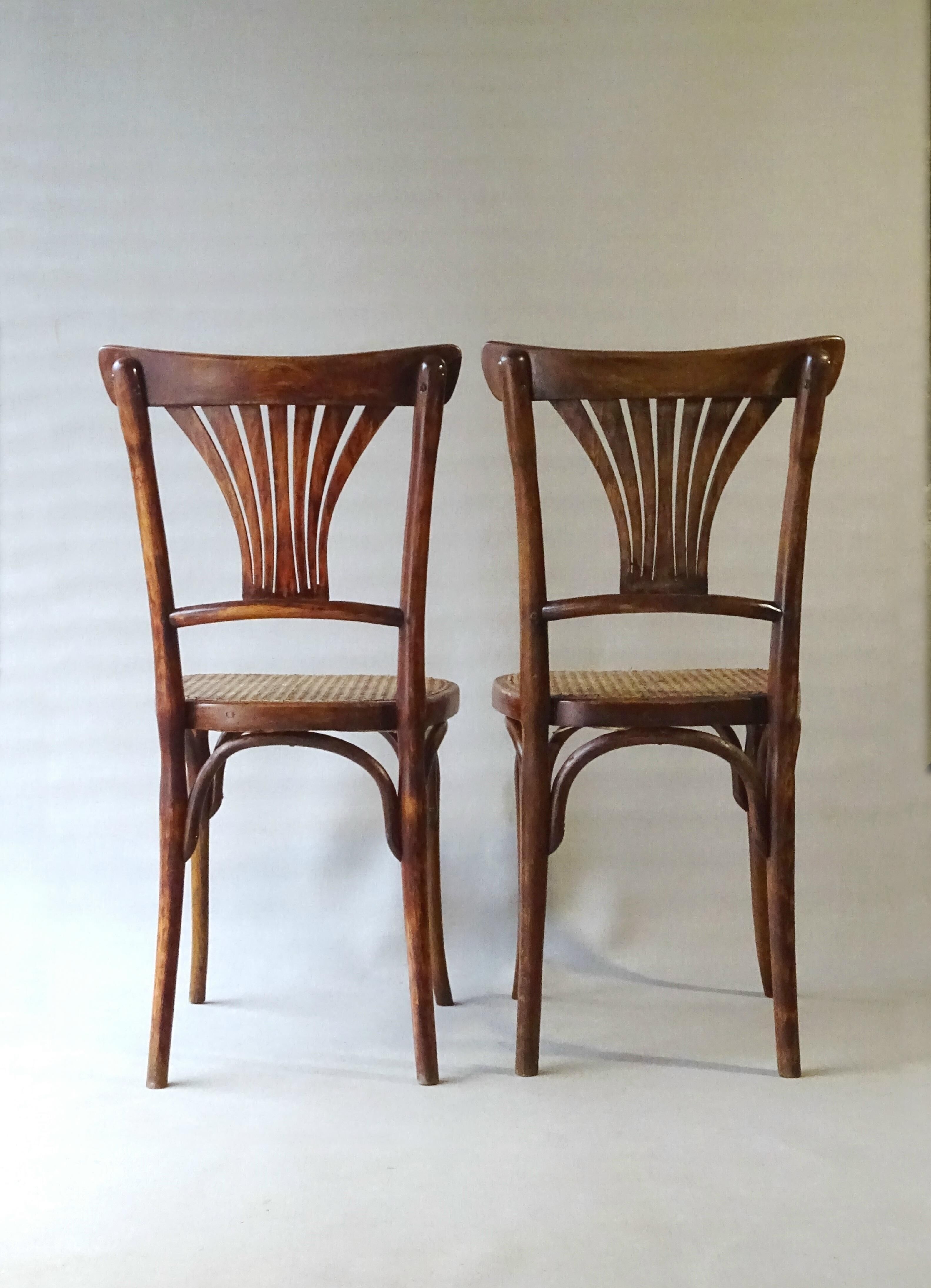 Two bistro chairs kohn n°196 in palmette, circa 1906, tanned