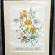 Old framed botanical poster