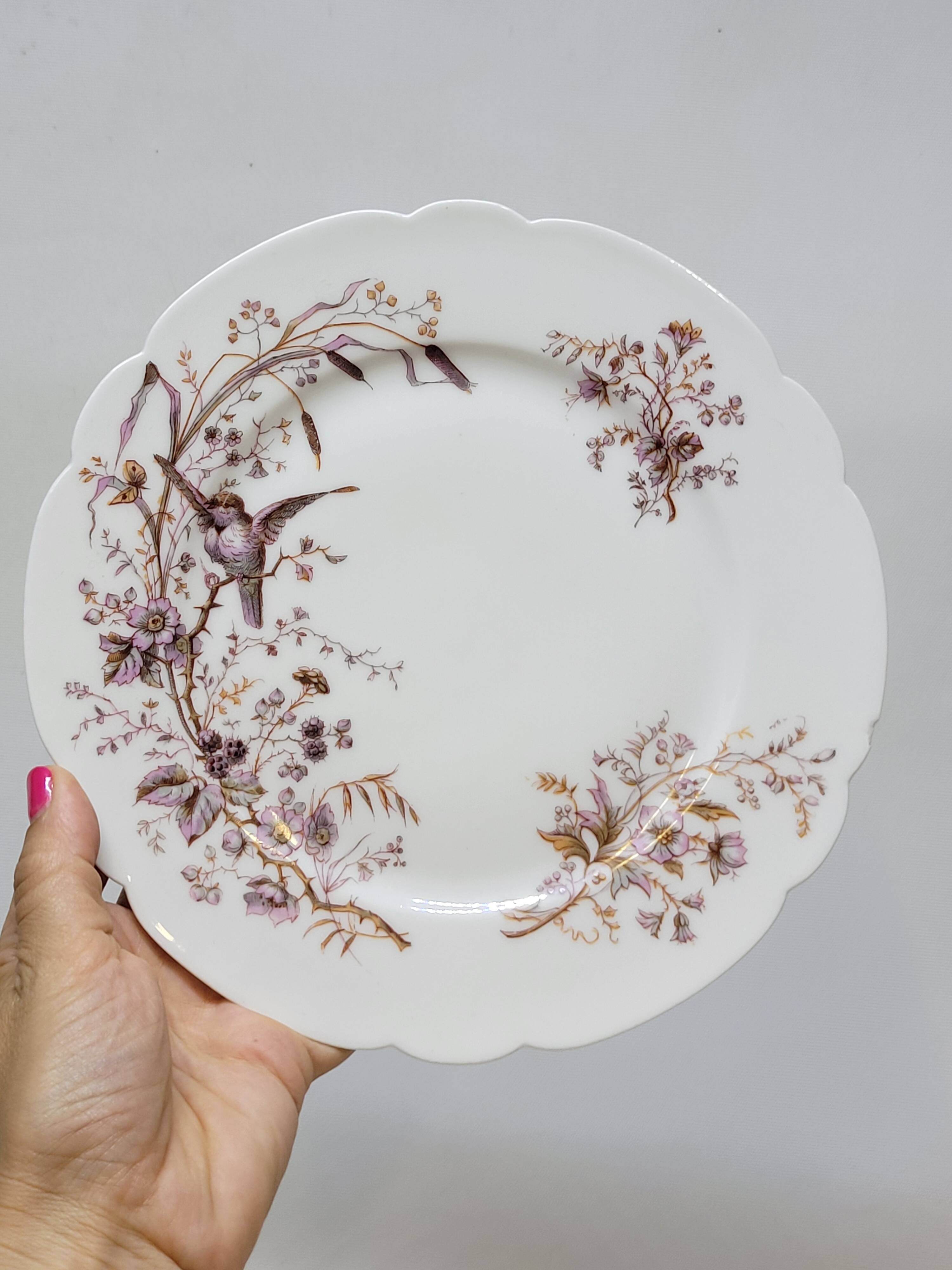 6 Superb Antique 19th Century White Porcelain Plates with Bird Decor