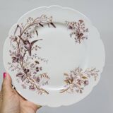 6 Superbes Assiettes Anciennes XIXème En Porcelaine Blanche Décor Oiseaux