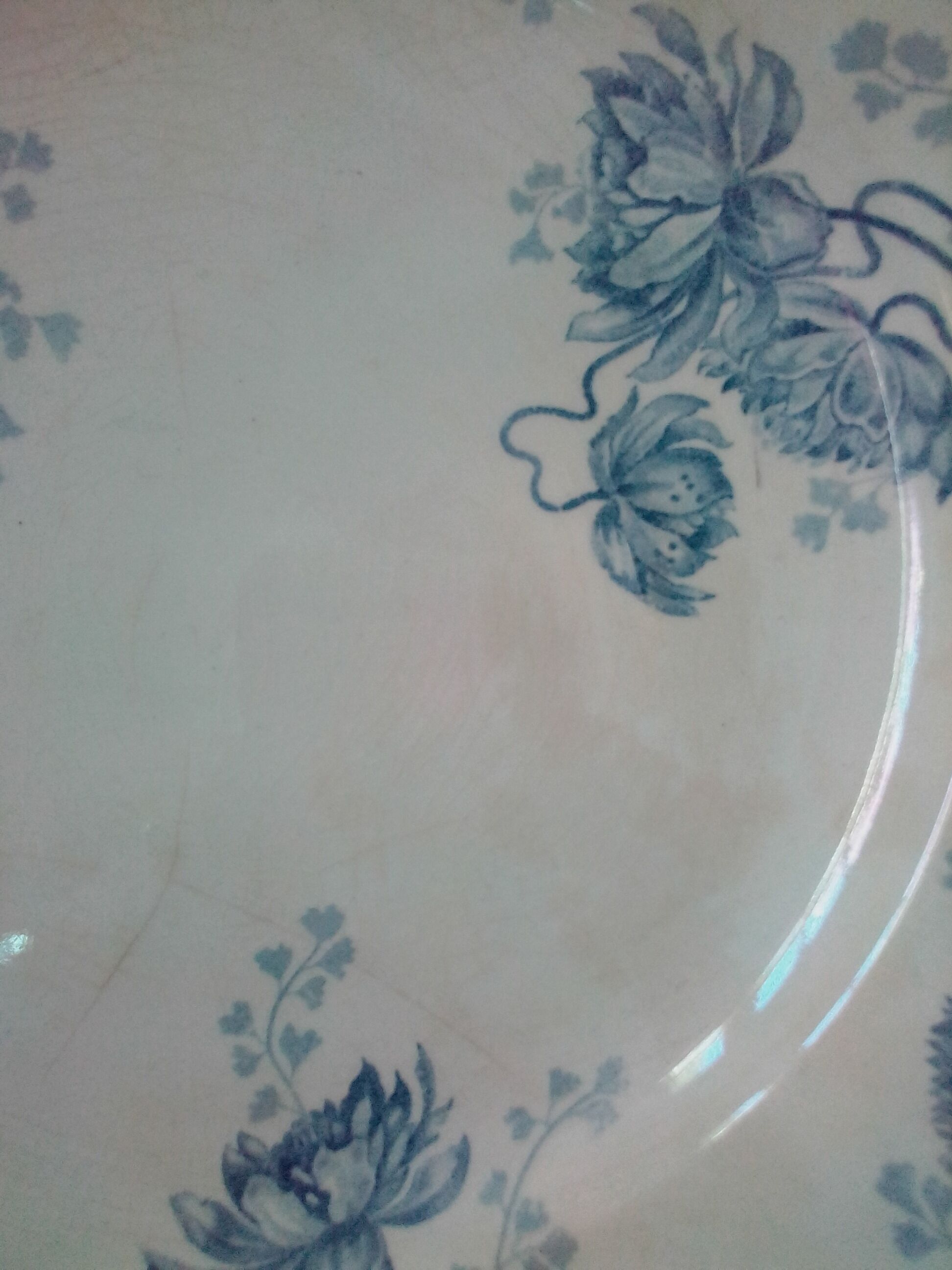 6 dinner plates model royat sarreguemines